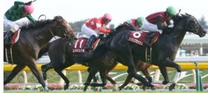 2013毎日王冠エーシンフラッシュ