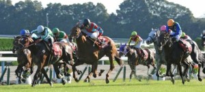 2013京都大賞典ヒットザターゲット